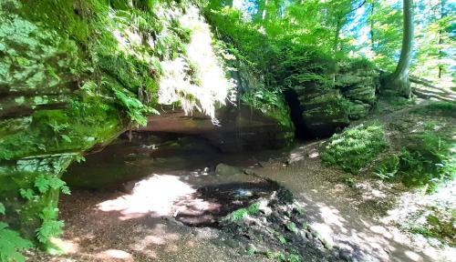 Rodalben Apartment | Gemütliche Fewo am Felsenwanderweg