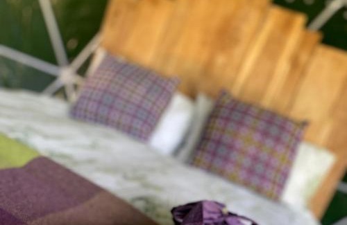 Llanidloes Other | Geodesic Dome Glamping