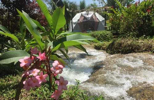 Lacanja Cabin | Geodesic Domes In The Jungle