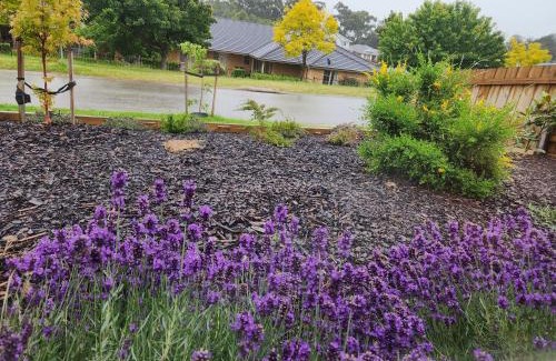 Newborough House | Getaway on Amaroo Way