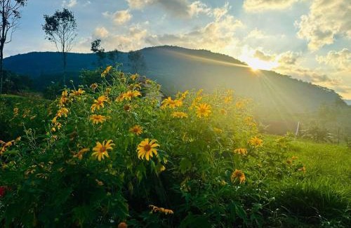 Bao Loc Apartment | Giăng's House Farmstay & Glamping