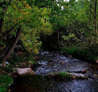 Tunuyan House | Giallonero