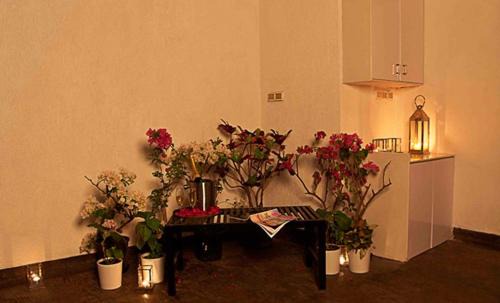 Vainguinim Hotel | Ginger Dona Paula, Goa