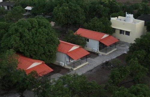 Talala House | GIR KUTIR Farm and Resort