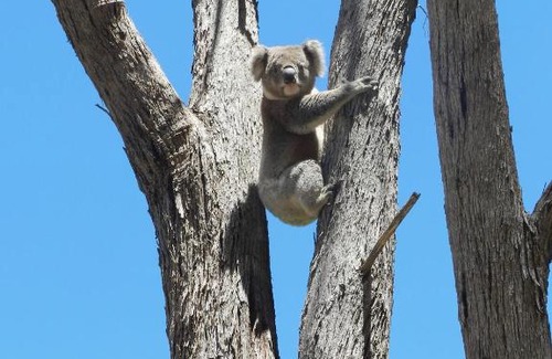 Yarck House | Glenfield Cottage