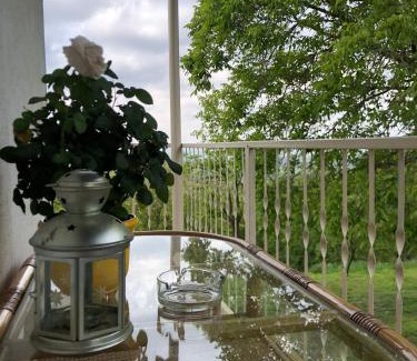 Popovac House | Goldberg - Apartman Lana