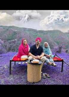 Chail Resort | Golden valley cottages, Chail