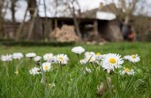 Neuburg Apartment | Goldhammer