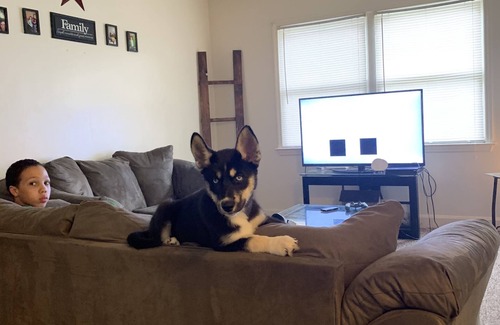 Richmond House | Good house