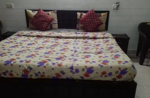 Malviya Nagar Apartment | Good place for parties and stays