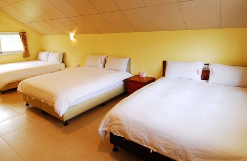 Luye Bed & Breakfast | GOOSE NEST Garden B&B