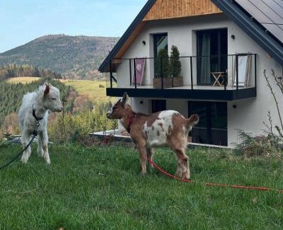 Mszana Dolna Bed & Breakfast | Gorczańskie Zacisze