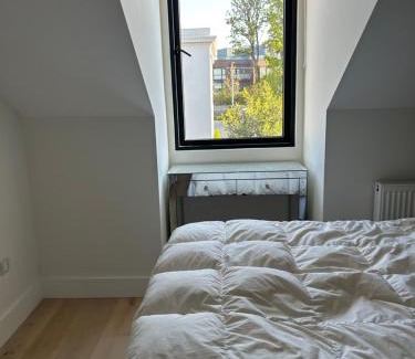 Dublin House | Gowrie