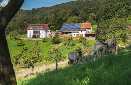 Rimbach Apartment | Grünewaldhof in Rimbach im Odenwald