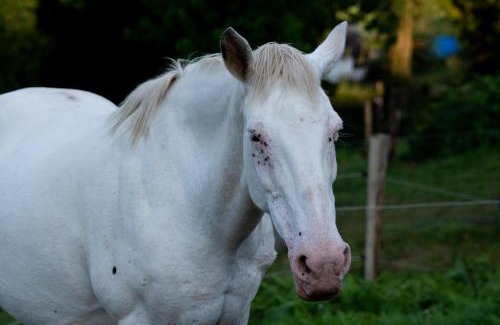 La Cavada House | Granja Sierra Hermosa