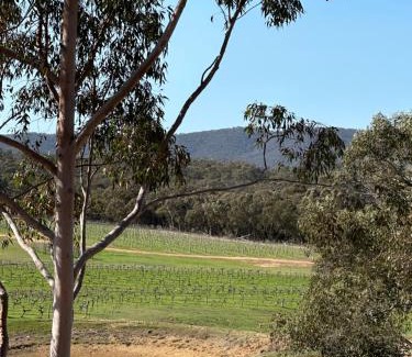 Moonambel House | Grape Farm Cottage with picturesque vineyard views