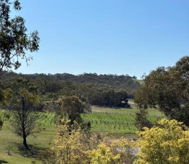 Moonambel House | Grape Farm Cottage with picturesque vineyard views