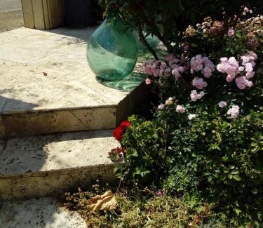 Castelnuovo dei Sabbioni Apartment | Grazioso appartamento alle porte del chianti