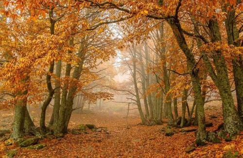 El Tiemblo Villa | GREDOS RURALRUT cerca del CASTAÑAR de El Tiemblo, Reserva Natural VALLE DE IRUELAS, alojamiento acogedor con cabina hidromasaje, chimenea eléctrica, calefacción, wifi, cocina