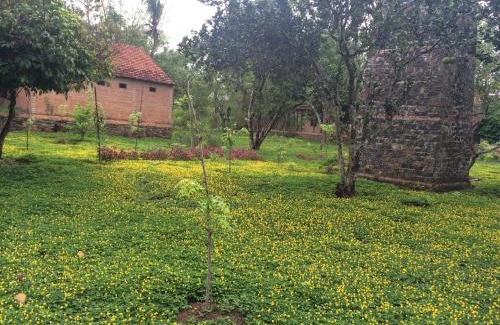 Nam Cat Tien Cabin | Green Hope Lodge