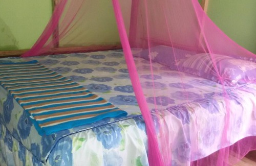 Batang Serangan Bed & Breakfast | Green Lodge Tangkahan