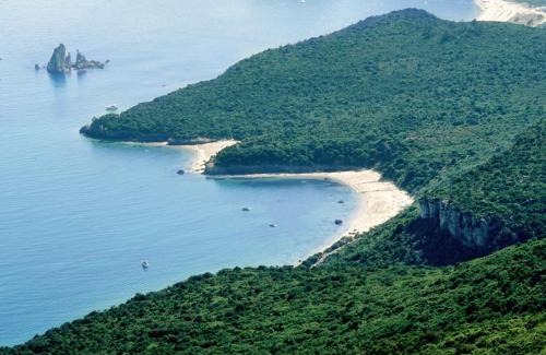 Carvalhal Boat Rental | GreenBreeze Full Day 8h Charter with overnight in a Greenline 48 Fly Luxury Yacht