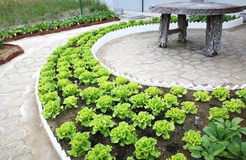 Kuantan House | Greenery Garden Concept Homestay