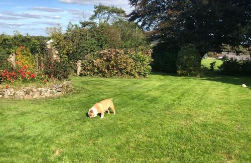 Narberth House | Greenhaven