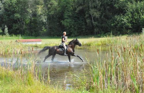 Krumpendorf am Woerther See House | Gut Drasing