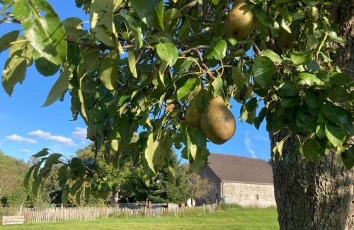 Aachen Apartment | Gut Kalkhäuschen, ein Ort mit Geschichte