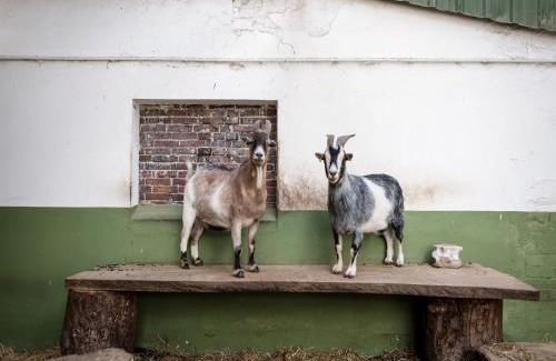 Geelbyholz Apartment | Gut Royum