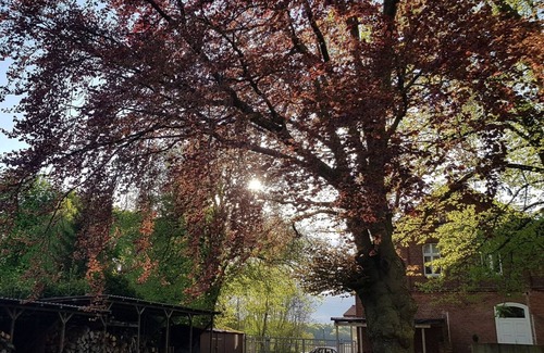 Altkalen Apartment | Gutshof Kämmerich - Holiday apartment "Siebenschläferhöhle"