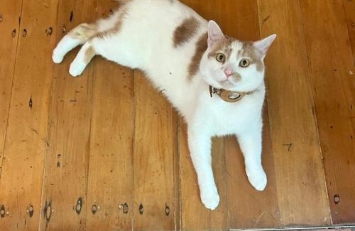 Errachidia Apartment | hébergement - Errachidia, Maroc