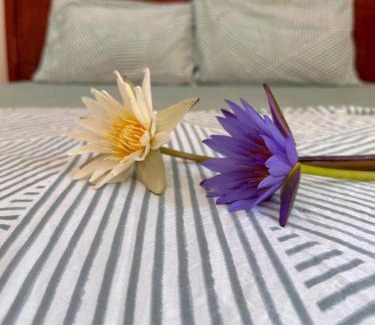 Long Dien House | Hạnh Phúc homestay