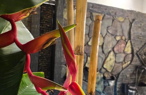 Malacca City Villa | H&I dden Gems Haramain Private Pool Riad Villa