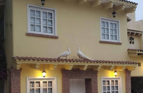 Pueblo Viejo House | Hacienda Girasoles Tampico