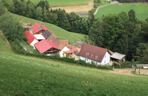 Bad Schonau House | Haflingerhof Luef