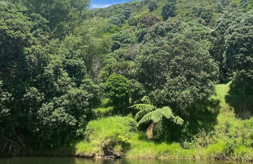 Te Mata House | Hakuna Te Mata - Bush walks beach & waterholes - Coromandel Coast