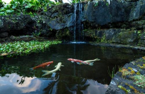 Hana Apartment | Hana Kai Maui - #101 Kaʻuiki premium oceanview 1 BR