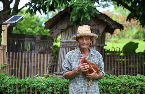 Tha Sala House | Hang Tueng farm stay Chiang Mai แฮงตึง ฟาร์มสเตย์ เชียงใหม่