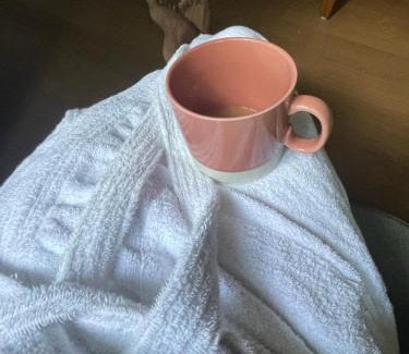 Naugarh Cabin | Harihar Palace