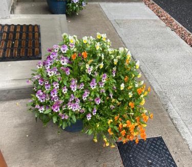 Mullingar Apartment | Harrys place