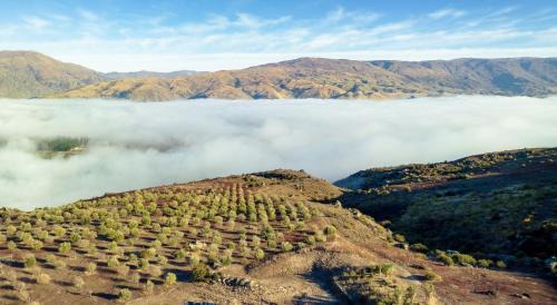 Lowburn Villa | Haurapa PurePod