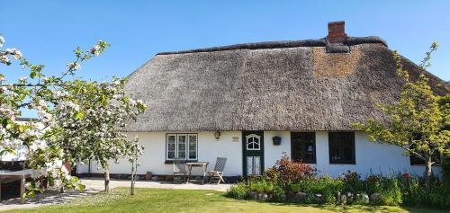 Midlum Apartment | Haus-an-de-Marsch