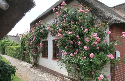 Midlum Apartment | Haus-an-de-Marsch