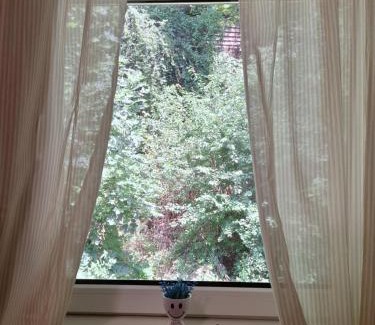 Leoben House | Haus Hoogendam