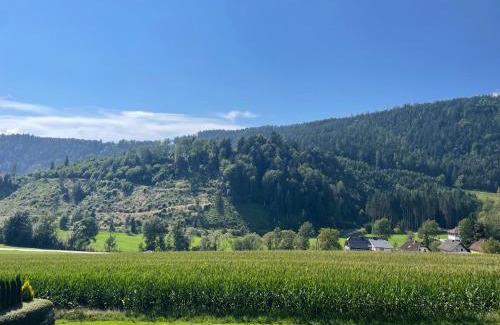 Wieting Apartment | Haus LINDE Görtschitztal