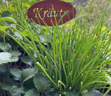 Oberhaag House | Haus Nebel