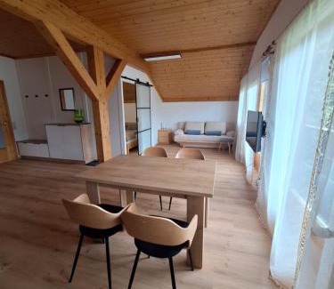 Pfarrwerfen Apartment | Haus Rieder