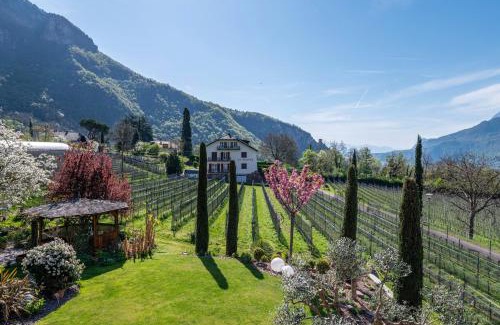 Terlano Apartment | Haus Rosengarten Apt D